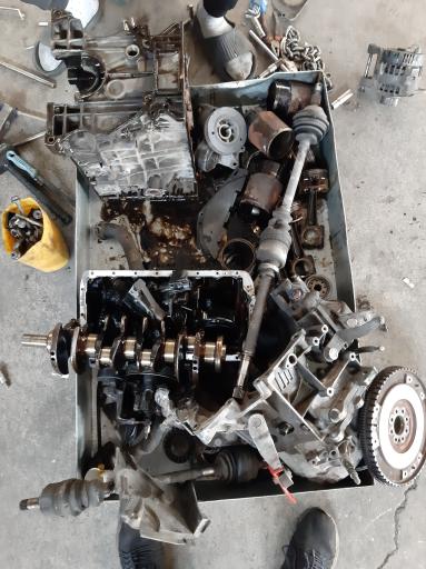 عکس دکتر موتور