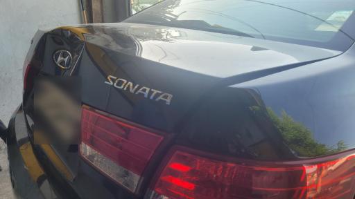 عکس صافکاری پاسارگاد پی دی آر