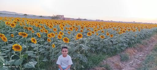 عکس کردلر