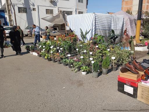 عکس چهارشنبه بازار 