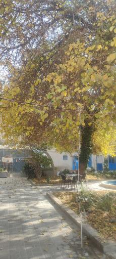 عکس خانه هنر دستان