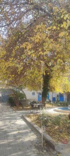 عکس خانه هنر دستان