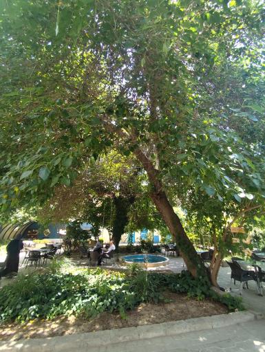 عکس خانه هنر دستان