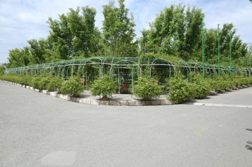 عکس دانشگاه غیرانتفاعی شهاب دانش