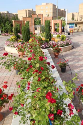 عکس دانشگاه غیرانتفاعی شهاب دانش