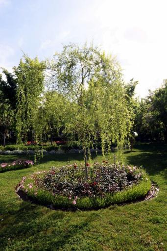 عکس دانشگاه غیرانتفاعی شهاب دانش