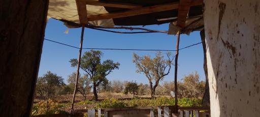 باغستان سنتی قزوین