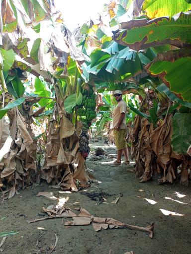 عکس زر آباد