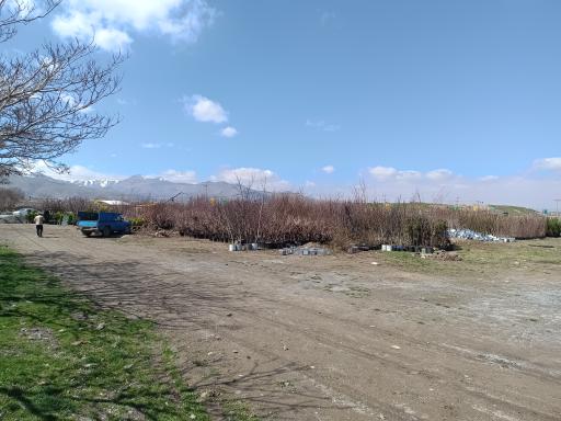 عکس نهالستان برادران شریفی