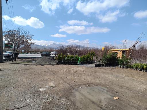 عکس نهالستان برادران شریفی