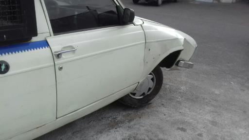 عکس صافکاری و تشخیص رنگ بیات 