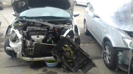 عکس صافکاری و تشخیص رنگ بیات 