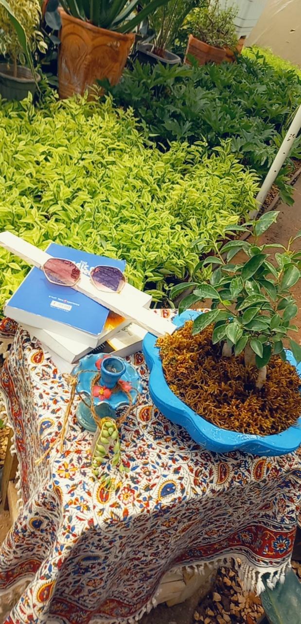 عکس گلخانه گل آذین 