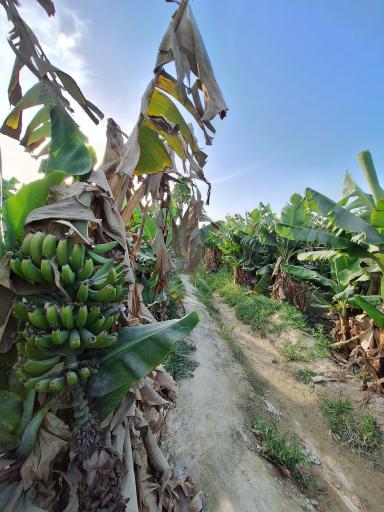 عکس زر آباد