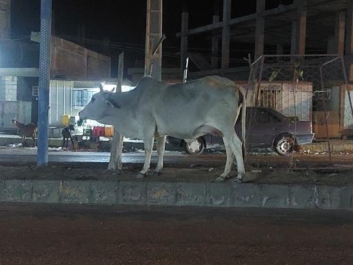 عکس زر آباد