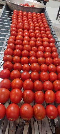 عکس چلوکبابی امام رضا