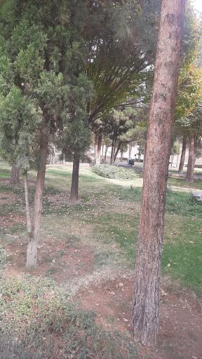 عکس پارک مهران