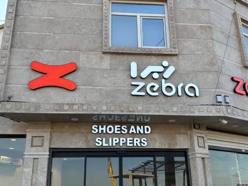 عکس کفش زبرا