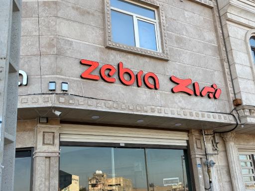 عکس کفش زبرا