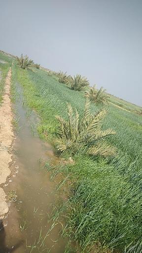 عکس زرگان ابوفاضل