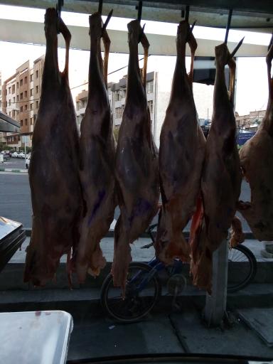 عکس سوپر گوشت عدالت