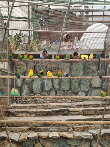 عکس باغ سرپوشیده پرندگان گرمسیری