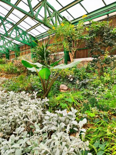 عکس باغ سرپوشیده پرندگان گرمسیری