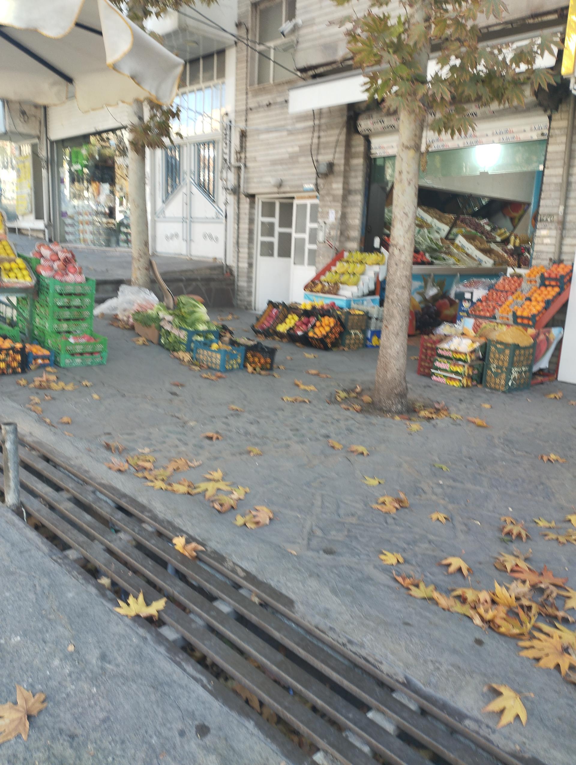 عکس میوه فروشی چهار فصل 