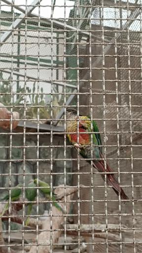 عکس باغ سرپوشیده پرندگان گرمسیری