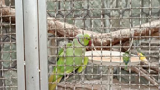 عکس باغ سرپوشیده پرندگان گرمسیری