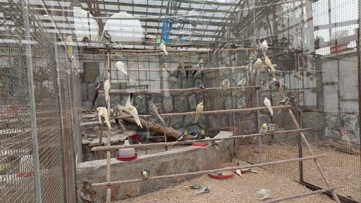 عکس باغ سرپوشیده پرندگان گرمسیری