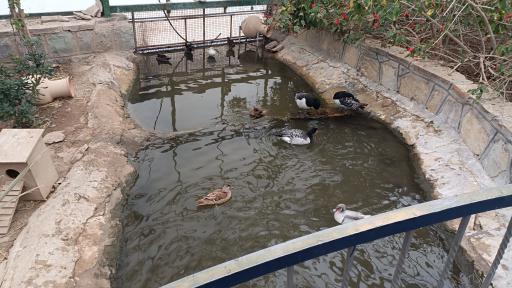 عکس باغ سرپوشیده پرندگان گرمسیری