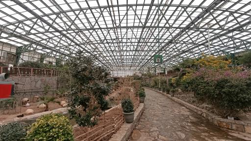 عکس باغ سرپوشیده پرندگان گرمسیری