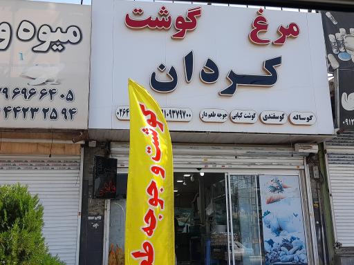 عکس مرغ و گوشت کردان