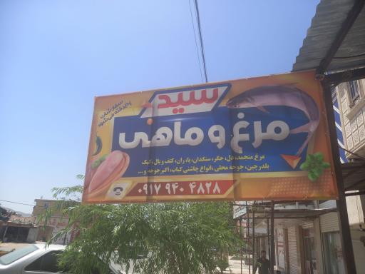 عکس مرغ و ماهی