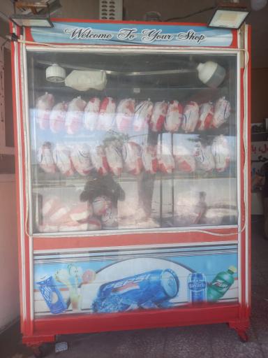 عکس مرغ و ماهی