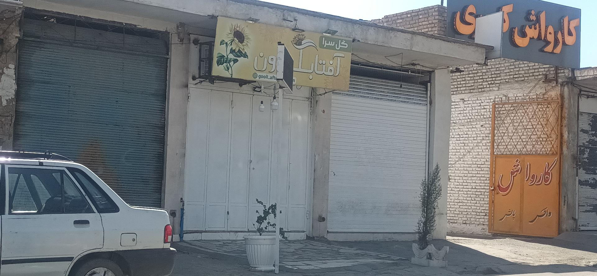 عکس گل فروشی آفتابگردان