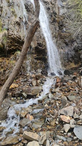 عکس رودخانه دارآباد