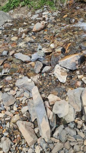 عکس رودخانه دارآباد