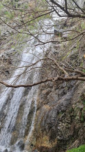 عکس رودخانه دارآباد