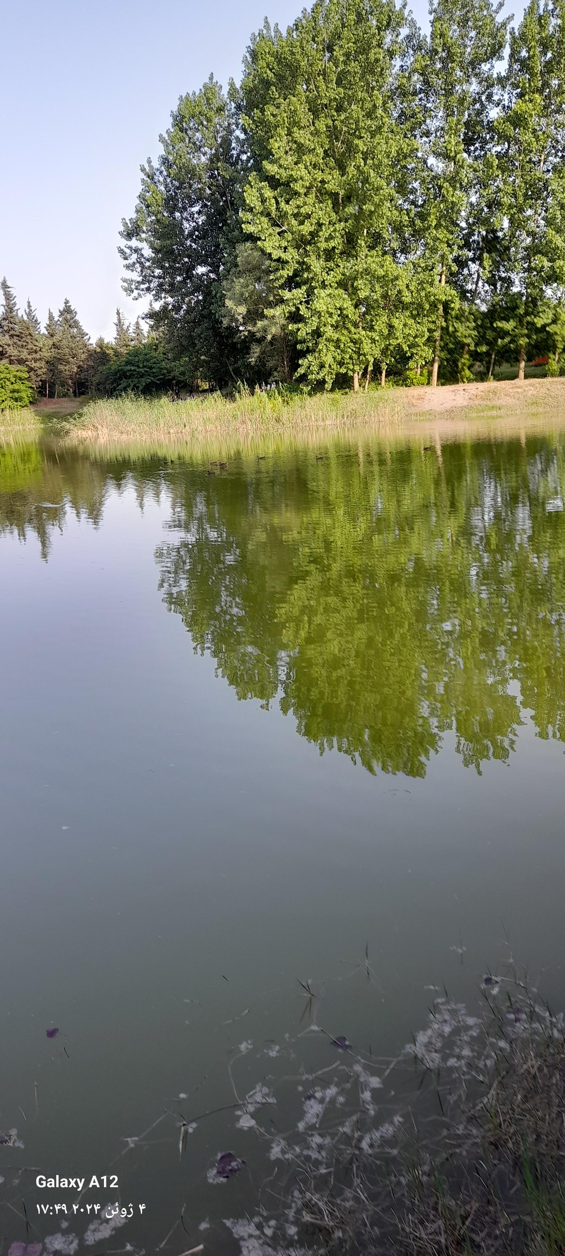 عکس پارک جنگلی بندر انزلی