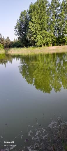 عکس پارک جنگلی بندر انزلی