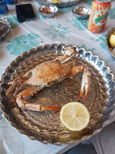 عکس باغ رستوران سنتی دورهمی