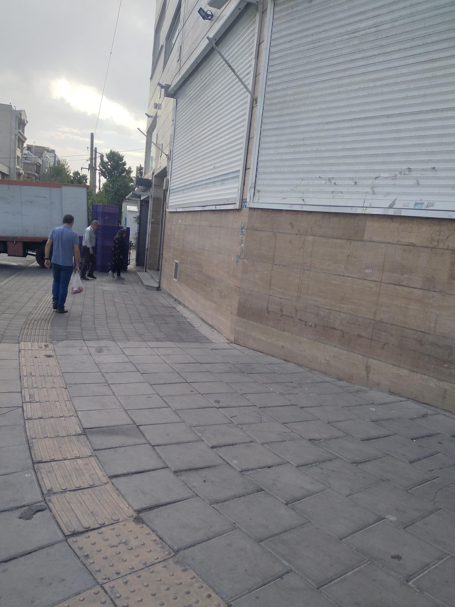 عکس بازار میوه و تره بار دریا