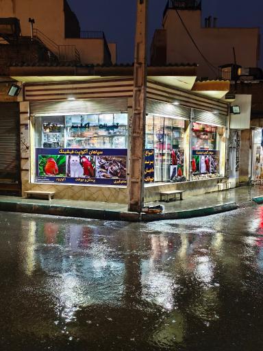 تجهیزات آکواریوم حیوانات و ماهیگیری سپاهان آکوا