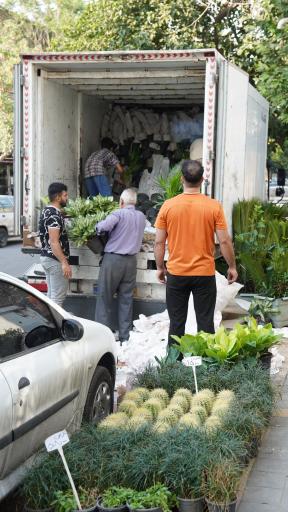 گلخانه همیشه سبز مشهد
