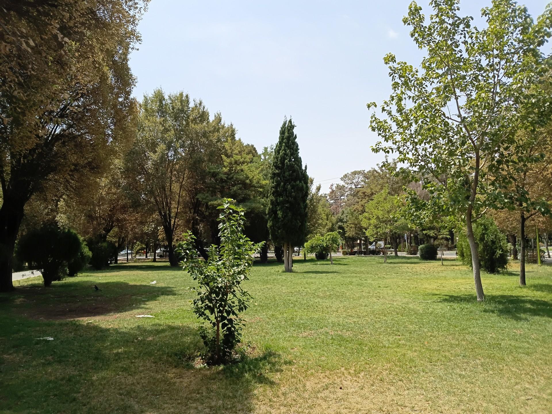 عکس پارک مسجد المهدی