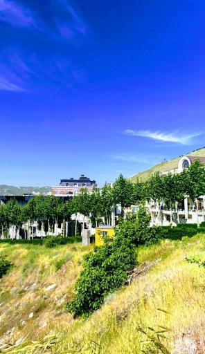 عکس باستی هیلز