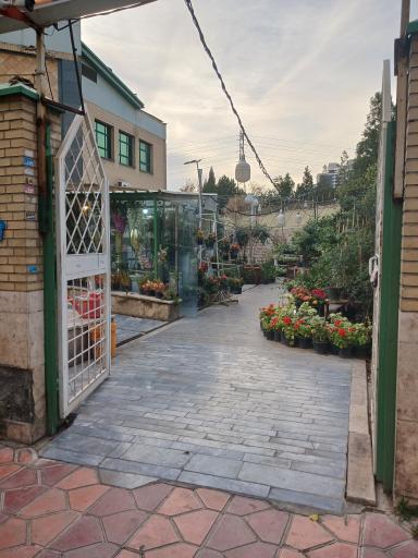 عکس گل فروشی