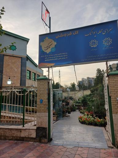 عکس گل فروشی